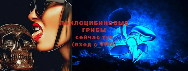 дмт Горнозаводск