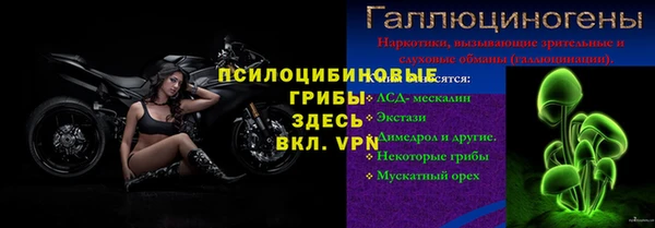дмт Горнозаводск
