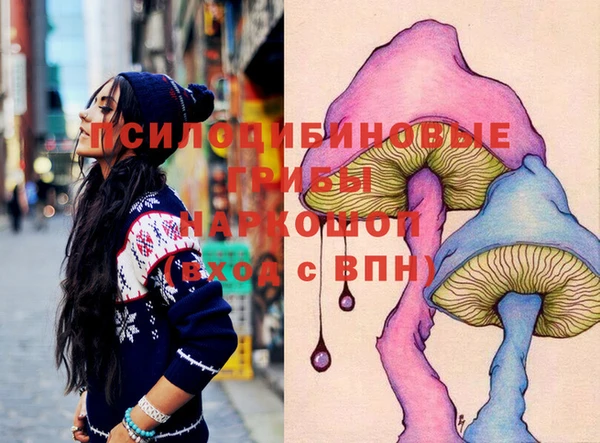спиды Горно-Алтайск