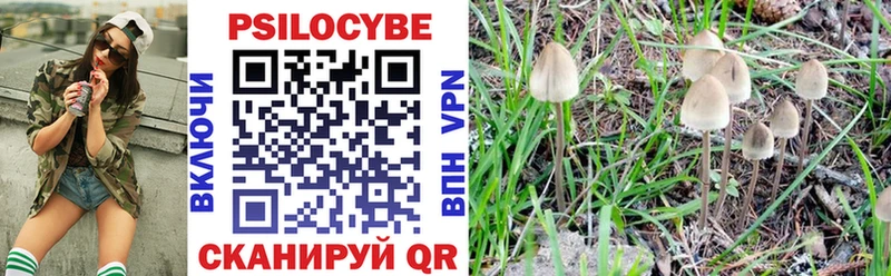 omg ссылки  Ростов-на-Дону  Галлюциногенные грибы Psilocybine cubensis 