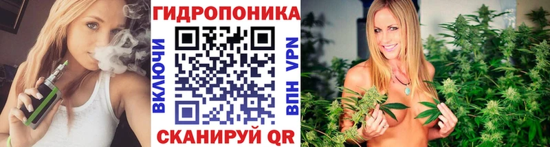 магазин продажи наркотиков  Ростов-на-Дону  Канабис Ganja 